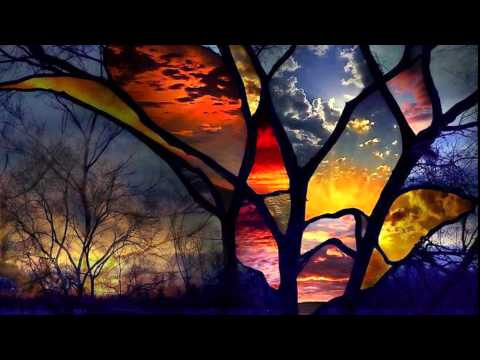 ENZIMA - TUTTO E' CICLICO