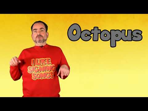 How to Sign Octopus in BSL