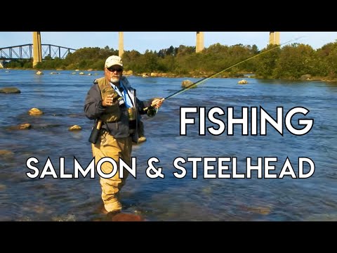 Salmon & Steelhead Fishing in Northern Ontario
