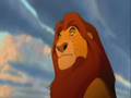 Circle Of Life Multilingual
