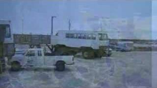 Churchill, Polar Bear Capital of the World