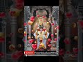 Vitthalrukmin Whatsapp Youtube Pandharpur Pandharpurdarshan Vitthal Status Reels Shorts Short