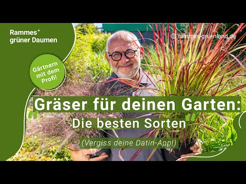 Gräser für deinen Garten: die besten Sorten (Vergiss deine Dating-App!)