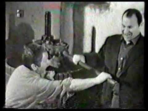 ANSAMBL DALMACIJA -  Mlado vino,Oj Violo (video)