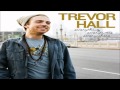 Trevor Hall - The Mountain With Lyrics