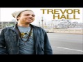 Trevor Hall - The Mountain With Lyrics 