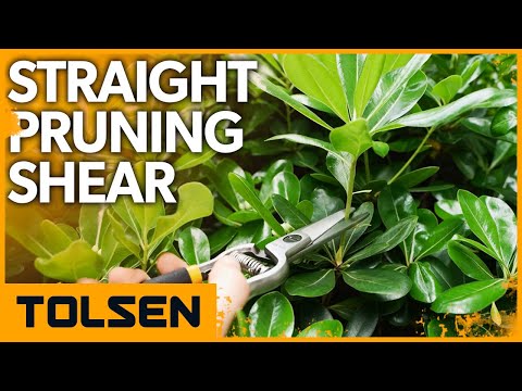 Миниатюра изображения товара Секатор механический Tolsen 31019