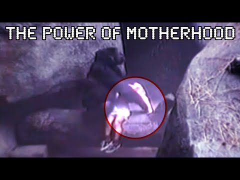 Animals that Deserve a Second Mother's Day