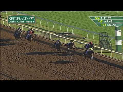 2016 Darley Alcibiades (G1)