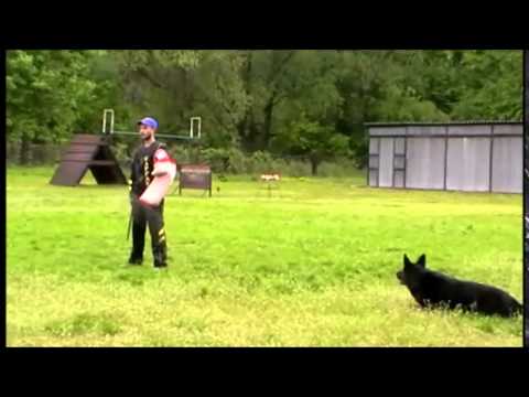 Axel Charlies court skúška IPO 1