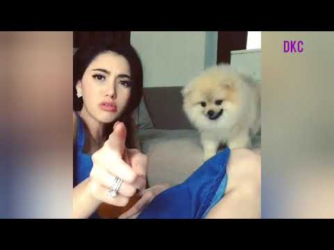 Mai with her lovely dogs