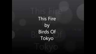This Fire By Birds Of Tokyo Lyric Video