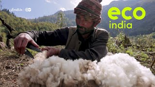 Eco India: How can traditional sheep wool rearing protect Himachal
