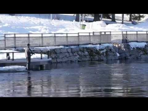 2015 03 16 Jokikalastusta