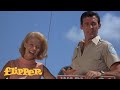 Flipper Saves The Boys From Sharks Flipper