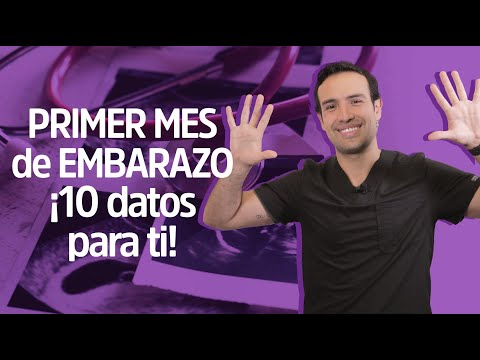 PRIMER MES DE EMBARAZO, ¡la aventura apenas comienza! | Reina Madre💜