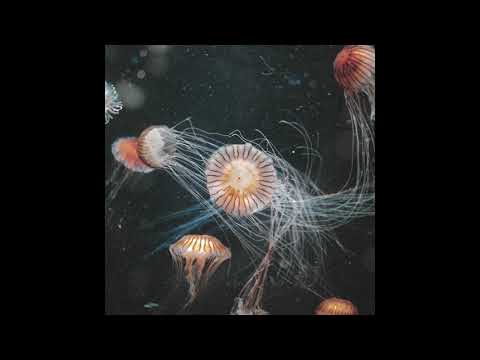 Forhill - Apparition