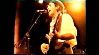 Ry Cooder All Shook Up