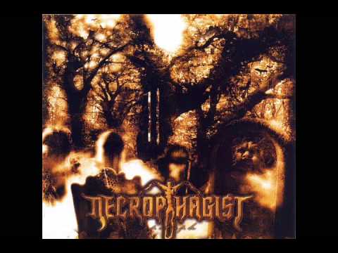 Necrophagist - Stabwound 8-Bit