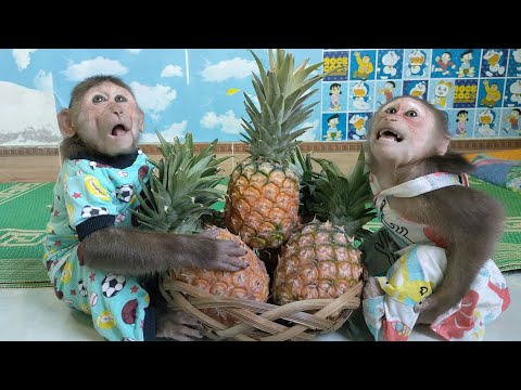 Mimi Kuku is looking after the basket of pineapples to help Mom