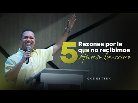 Video 4