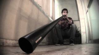 Didgeridoo Windproject Contest João Jardim