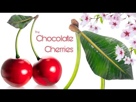 Chocolate Cherries!