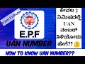 How to check UAN in EPFO in just 2 minutes| UAN ಸಂಖ್ಯೆಯನ್ನು ಹೇಗೆ ತಿಳಿಯುವು
