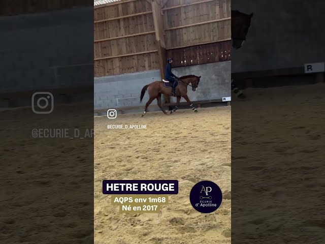 Magnifique AQPS env 1m68