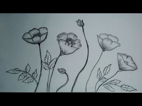 download lagu mp3 mp4 Poppy Flower Design, download lagu Poppy Flower Design gratis, unduh video klip Poppy Flower Design