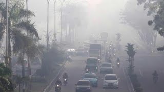 Download lagu Kabut Asap Selimuti Pekanbaru, Warga Mulai Sesak Napas mp3