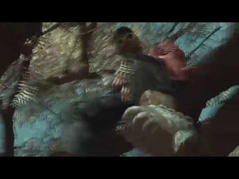 Guru Doug - Phases ( Dir. By @HideAndSeekZoo ) [ Music Video ]