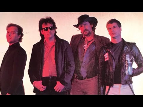 "THE BEAT FARMERS:  Live at the CMA Awards" - (1988)
