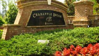 preview picture of video 'Crabapple Brook Milton GA Estate Homes'