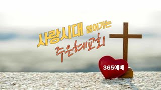 20260521- 8h 목요예배 MQDEFAULT Thumbnail