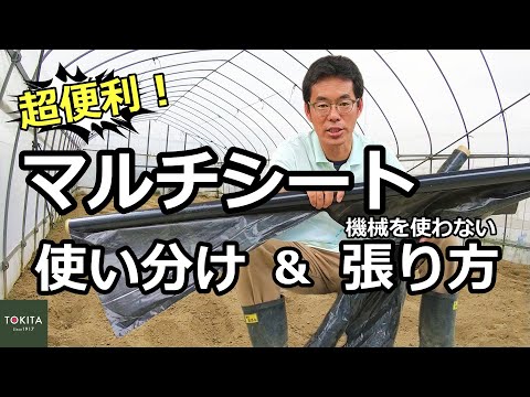 どのような種類のマルチを選択すればよいですか?さまざまなマルチの利点  庭園