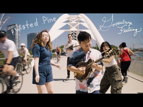 Twisted Pine // Goosebump Feeling (Official Music Video)