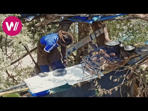 The treehouse restaurant of Santiago (Cape Verde)