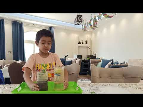 Eyad's presentation about plants.