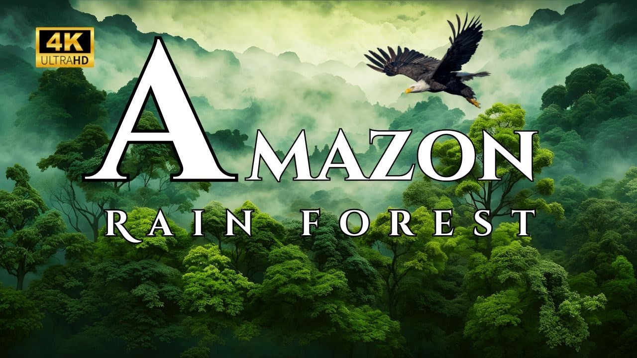 Amazon Rainforest Raining - Deep Relaxing Music for Sleeping,Stress & Depression Relief, Anxiety