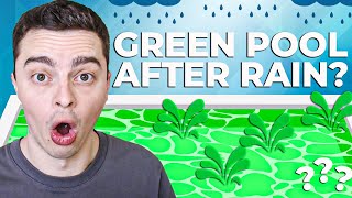 Green Pool After Heavy Rain - Why? How To Fix It?
