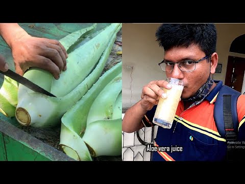 How To? 100% Healthy & Unique Street Food Aloe Vera Juice- Bengali Aloe Vera Shorbot Health Benefits