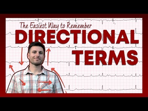 The Easiest Way to Learn Directional Terms - Anatomy Basics | Corporis