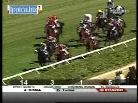 Premio Tudini 2011 (GR 3)