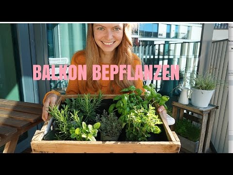 Kräuterbeet für den Balkon - In Obstkisten finden Kräuter ein neues Zuhause