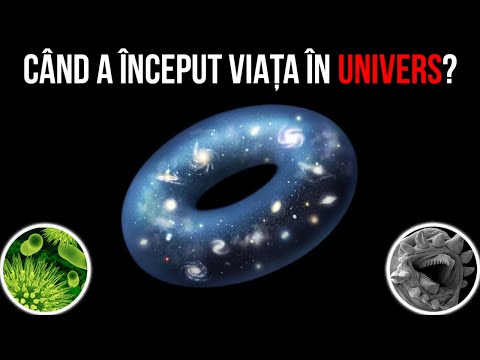 Cand A Inceput Viata In Univers?