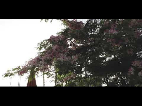 Playing tennis during COVID-19