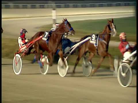 Trotto 29/01/2019 - 6ª corsa