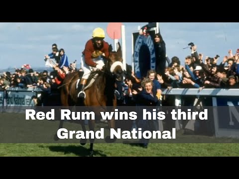 2nd April 1977: Red Rum wins an unprecedented third Grand National horse race