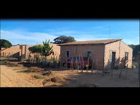 O lado de Manga Minas Gerais  que você não conhece